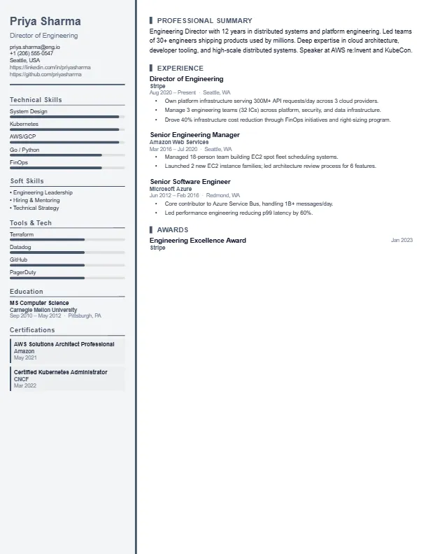 Tech Leader Resume Template